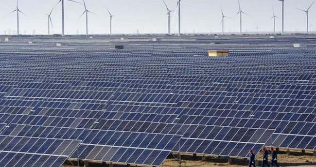 "Global Renewable Energy..." Timberland Finance